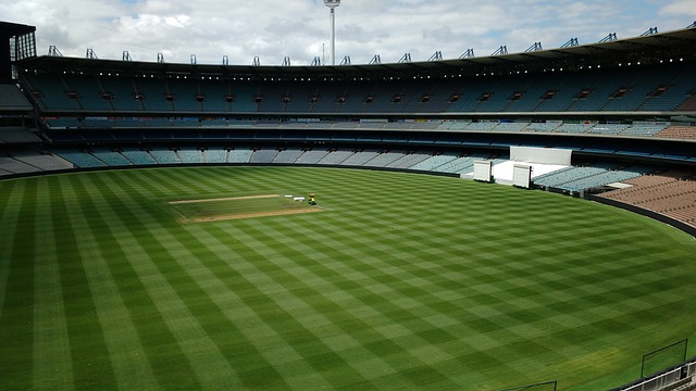 更以其独特 更以其独特