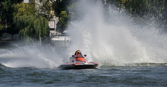 他们同样有 他们同样有