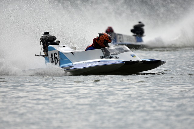 他們展現了 他們展現了