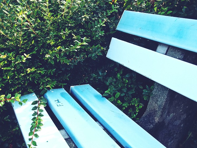 比赛的观赏 比赛的观赏