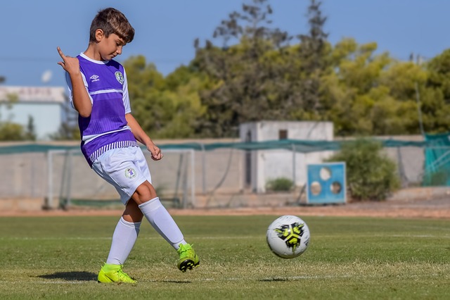 黑馬潛質的 黑馬潛質的