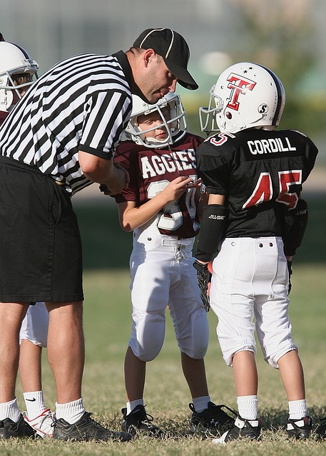 的适应能力 的适应能力