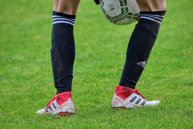 局等相关部 局等相关部