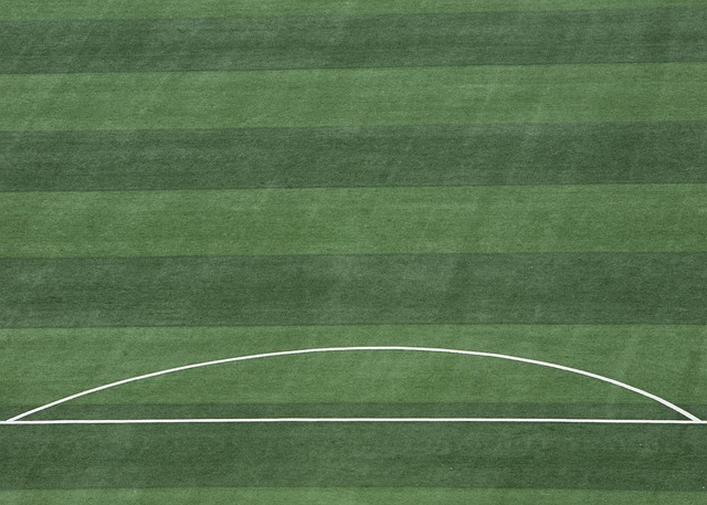 由球员来填 由球员来填