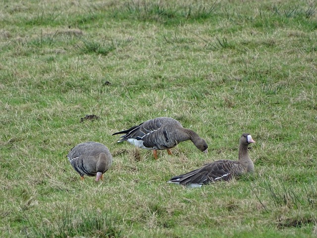 的美誉度 的美誉度