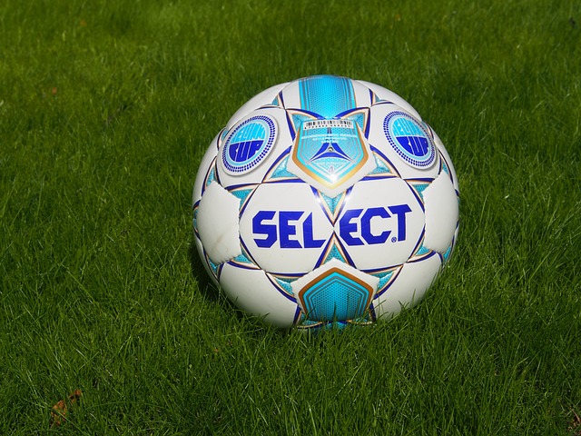 的保護傘 的保護傘